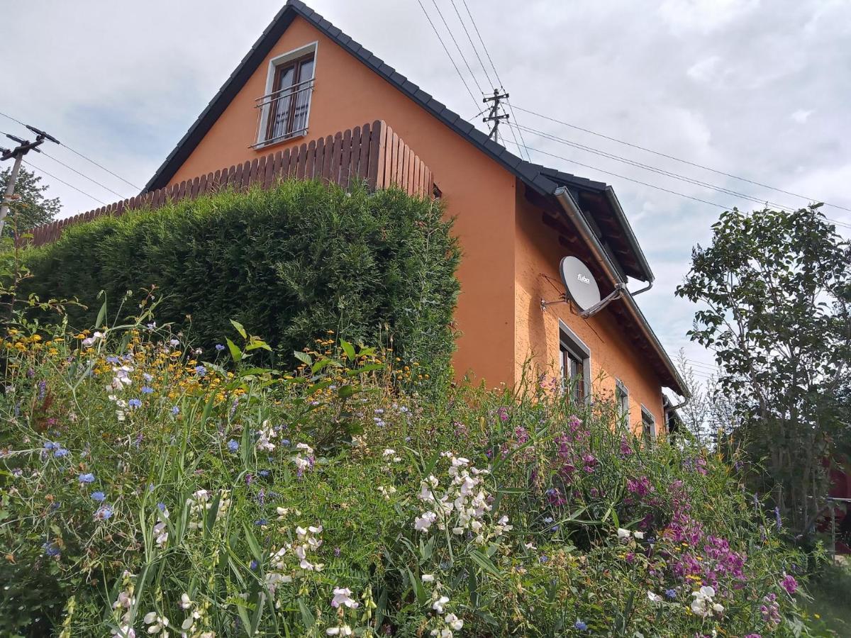 Ferienhaus Hilde Steinwiesen Экстерьер фото