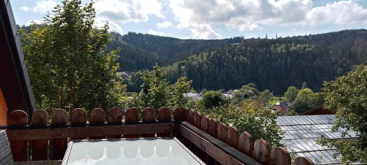 Ferienhaus Hilde Steinwiesen Экстерьер фото